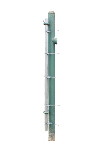 4Z5A4537 copy