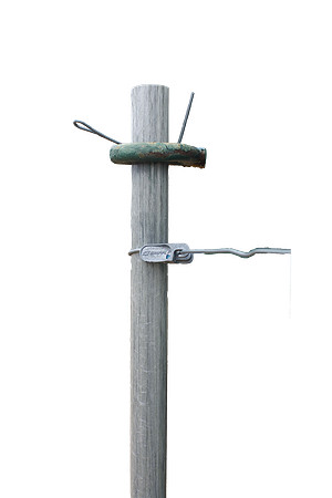 4Z5A4540