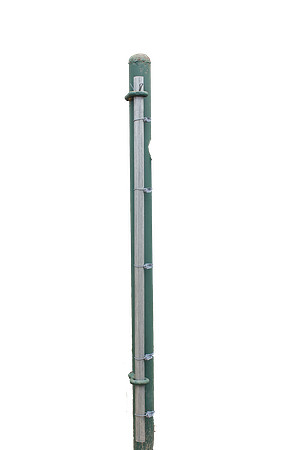 4Z5A4545
