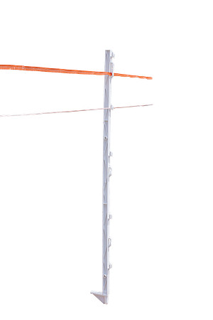 pole