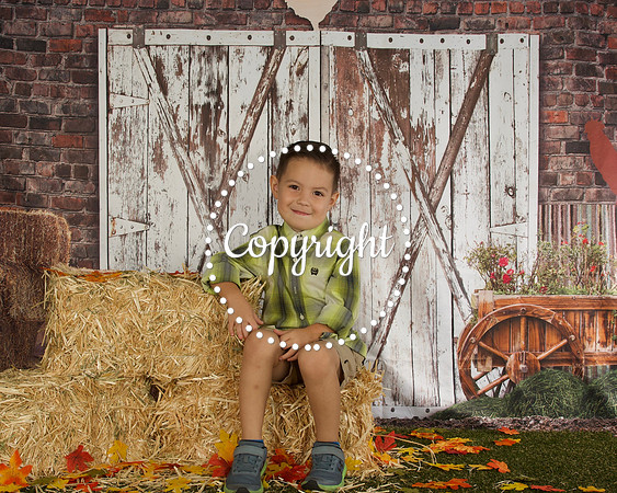 Noah 1