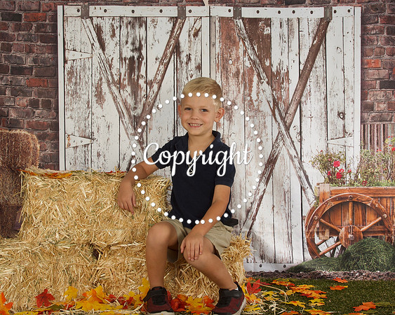 Brady