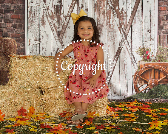 Kenley