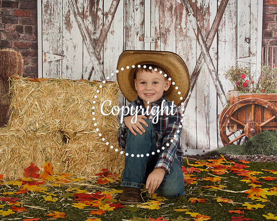 Cooper 2