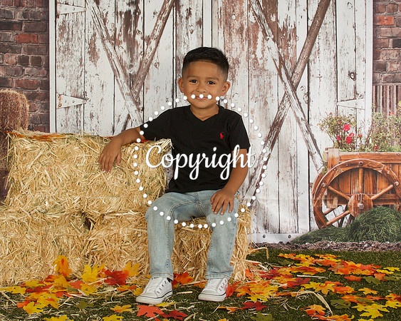 Anthony 2